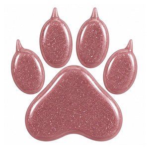 Claresa PAWfect Lip Gloss błyszczyk do ust 06 Cosy Pup 4,7 g