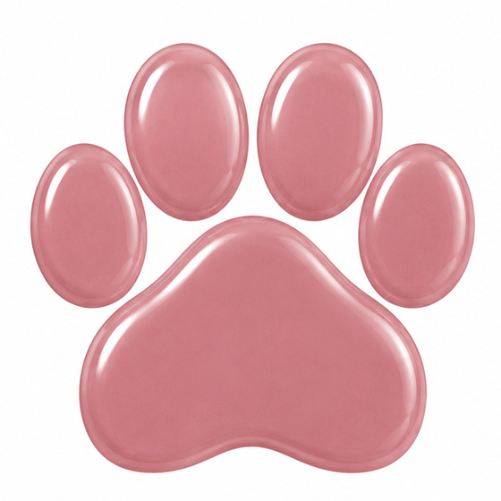 Claresa PAWfect Lip Gloss błyszczyk do ust 05 Kitty Bliss 4,7 g